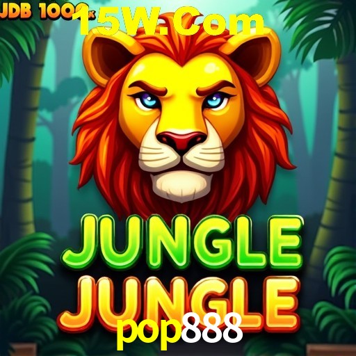 pop888 Rio de Janeiro - Bonus Terms